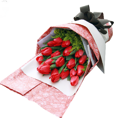 Red Tulips